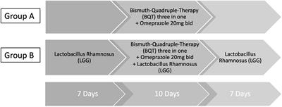 Lactobacillus rhamnosus GG supplementation on eradication rate and dyspepsia in Helicobacter pylori infection treated with three-in-one bismuth quadruple therapy